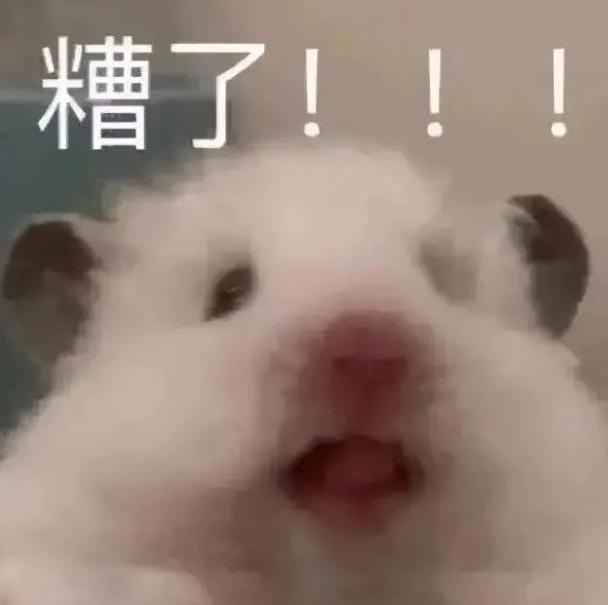 DƬ